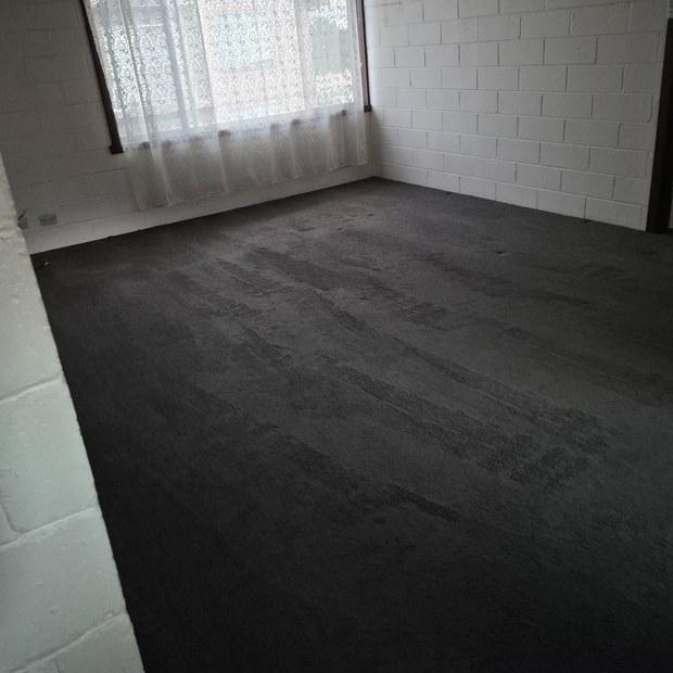 Living room carpet after hot water extraction, curtains rehung, Clayton South