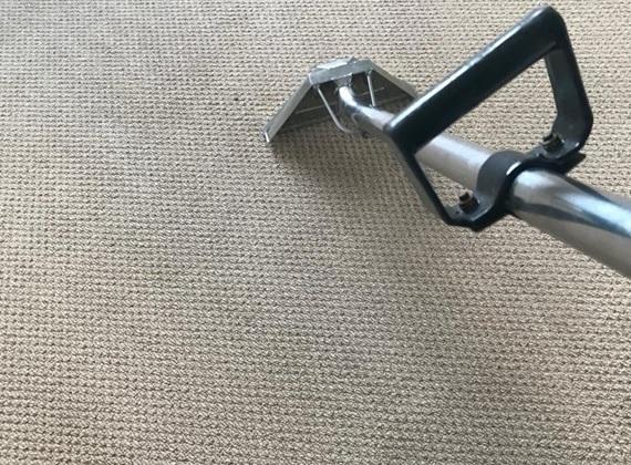 End of lease cleaning Dee Why July 2026 - carpet cleaning in progress