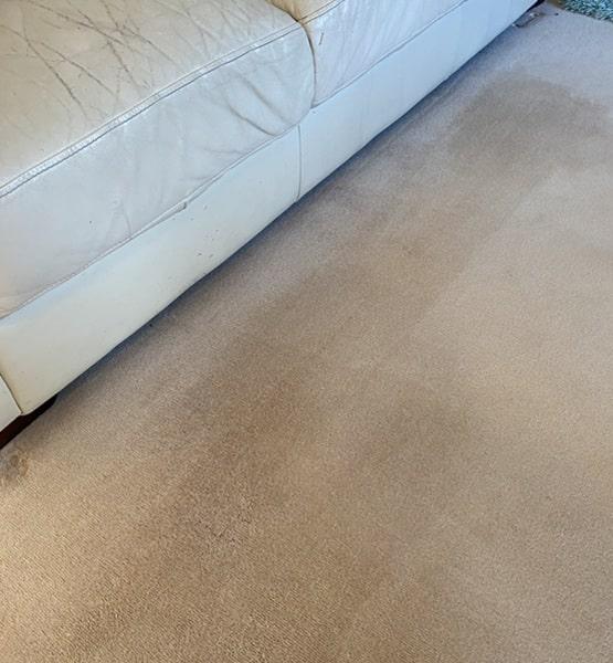 Carpet cleaning services Melbourne after