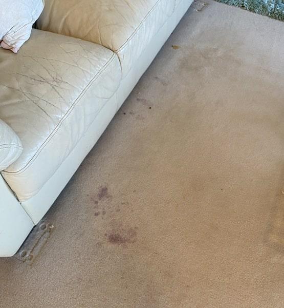 Carpet cleaning services Melbourne before