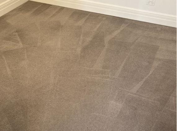 Freshly steam-cleaned carpet in a Brunswick home