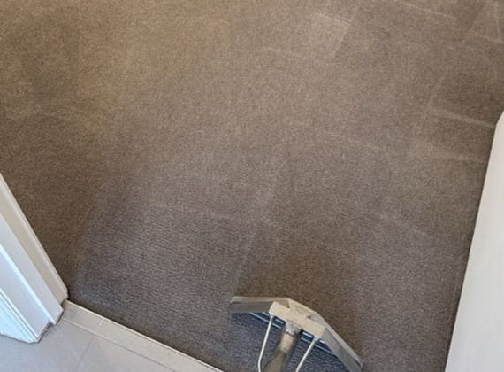 Carpet cleaning result from a Brunswick home