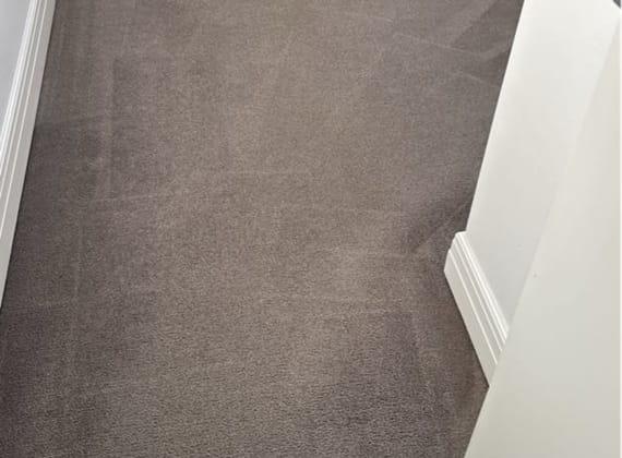 Living room carpet cleaned in Brunswick, Melbourne