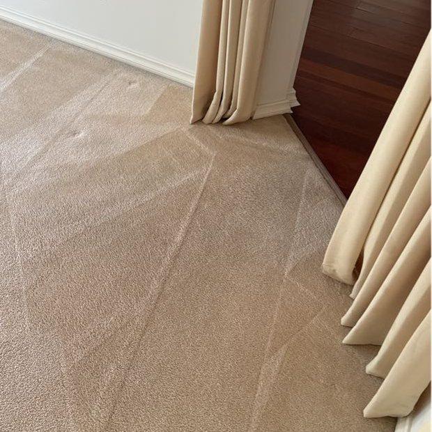 Living room carpet after steam cleaning with visible wand lines, Burwood, Melbourne