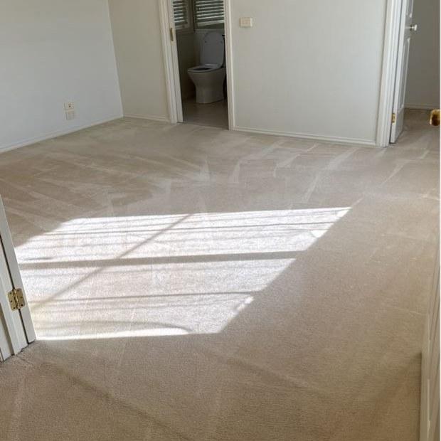 Master bedroom carpet steam-cleaned, Burwood, Melbourne