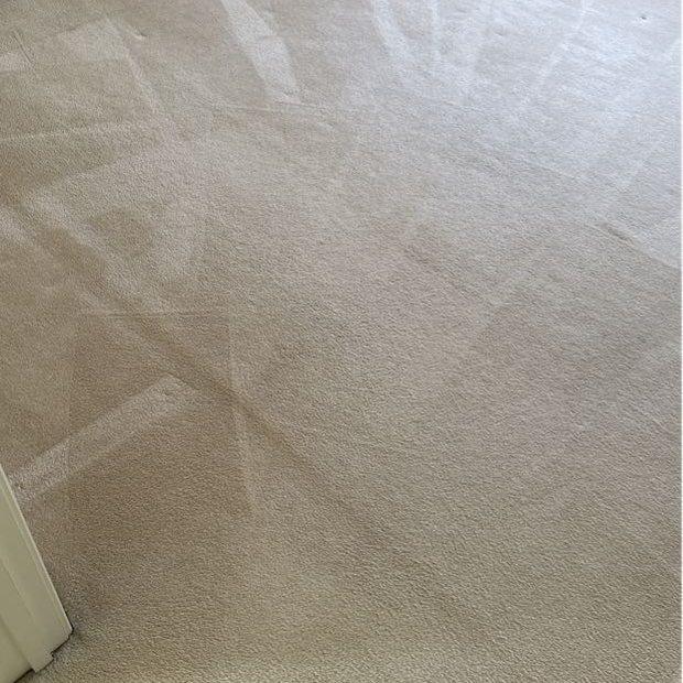 Carpet steam cleaning wand pass in a Burwood bedroom