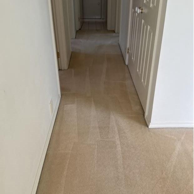 Upstairs hallway carpet after hot water extraction, Burwood
