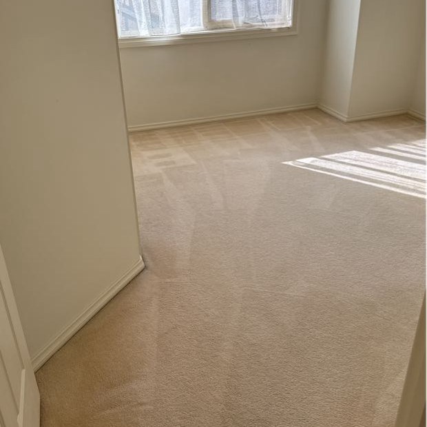 Bedroom carpet after steam cleaning, Burwood, Melbourne