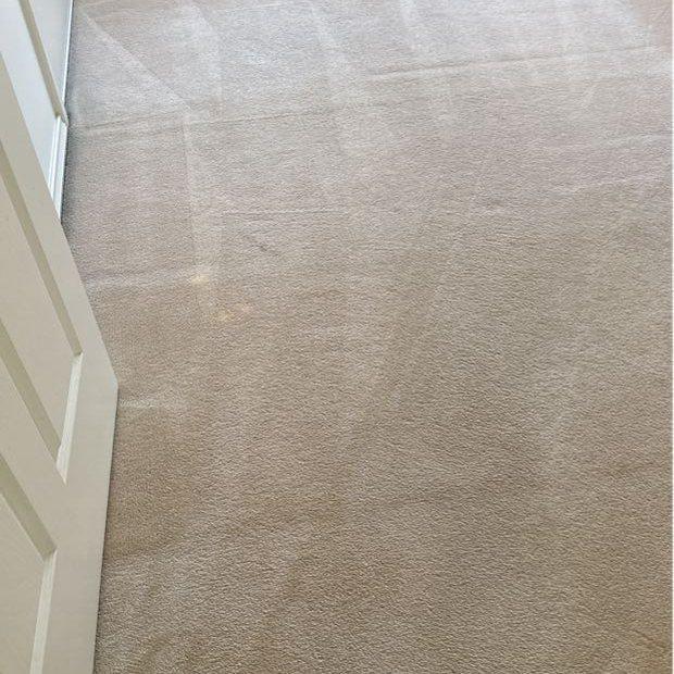 Bedroom carpet with fresh steam-cleaning lines, Burwood