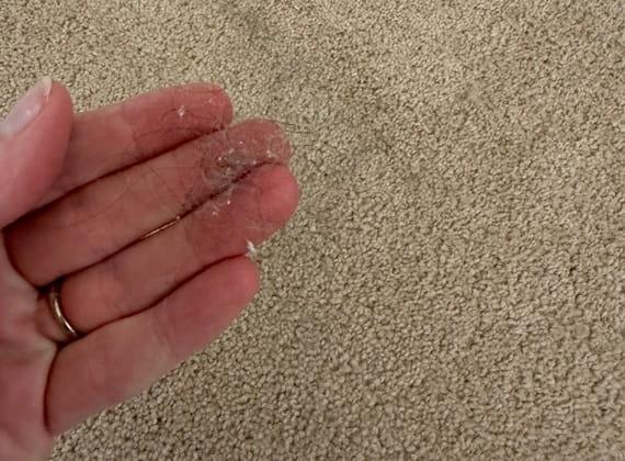 Technician steam cleaning carpet in a Frankston home