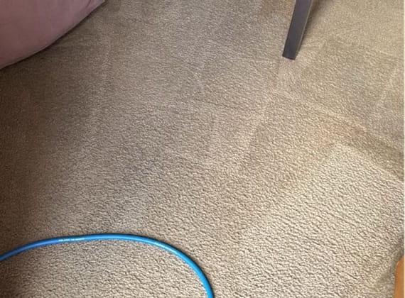 Close-up of carpet cleaning in Frankston, Melbourne