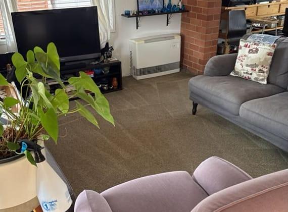 Living room carpet cleaned in Frankston, Melbourne