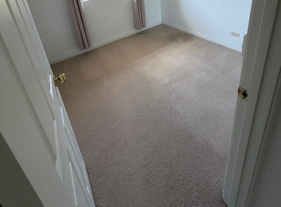 Carpet cleaning result from a Frankston home