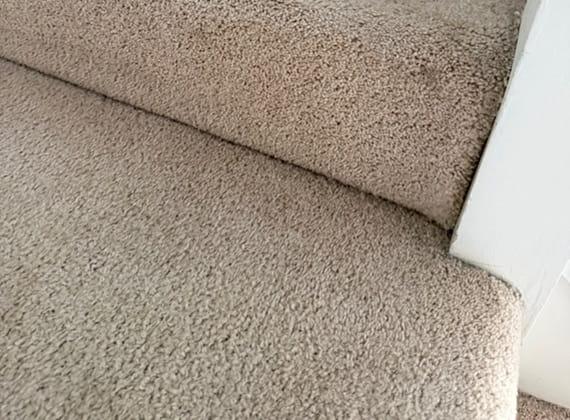 Clean carpet area after steam cleaning in Frankston, Melbourne