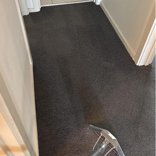Steam cleaning wand mid-pass on hallway carpet in Nunawading, Melbourne