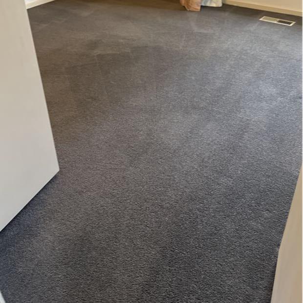 High-traffic carpet area during steam cleaning, Nunawading unit