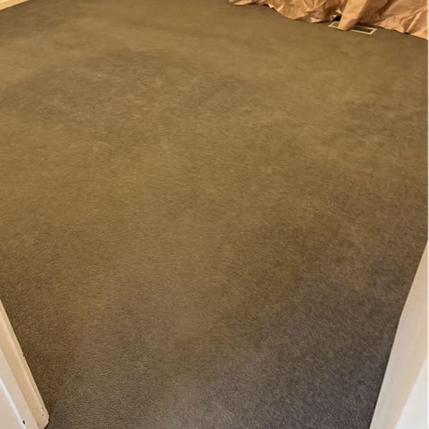 Bedroom carpet after steam cleaning with visible cleaning strokes