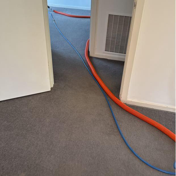 Bedroom carpet cleaned and ready, Nunawading, Melbourne