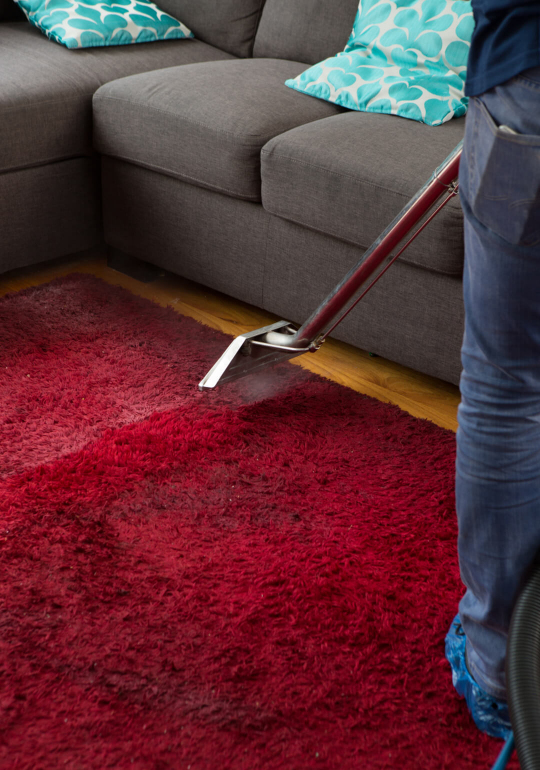 pozo Están deprimidos Campanilla ⭐Affordable Carpet Cleaning in Castle Hill | Carpet Steam Cleaning