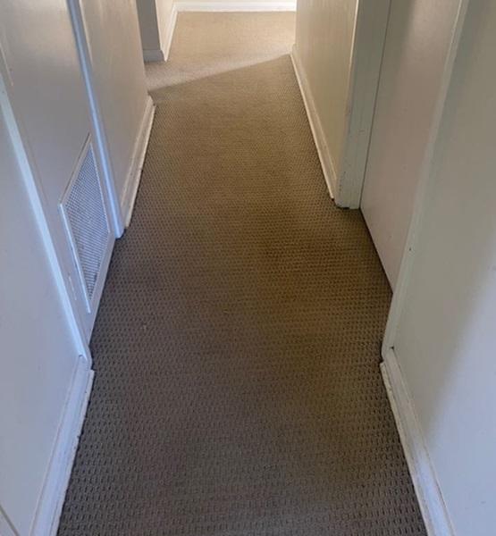 Carpet cleaning Perth after Carpet cleaning Perth after
