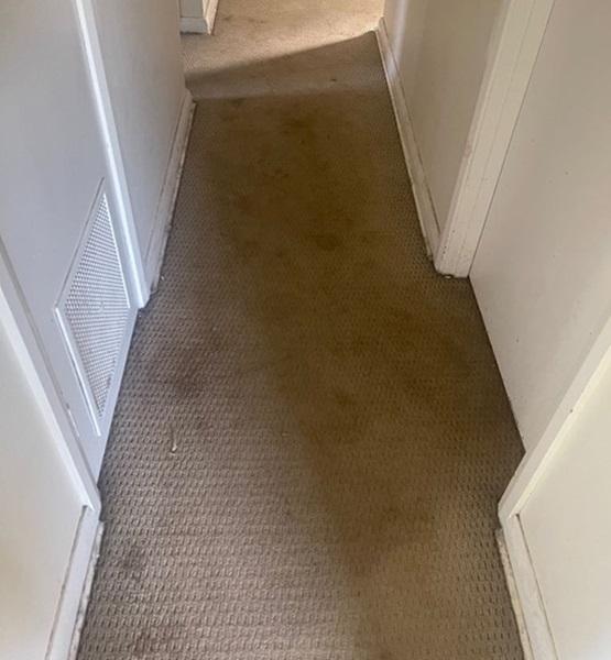 Carpet cleaning Perth before Carpet cleaning Perth before