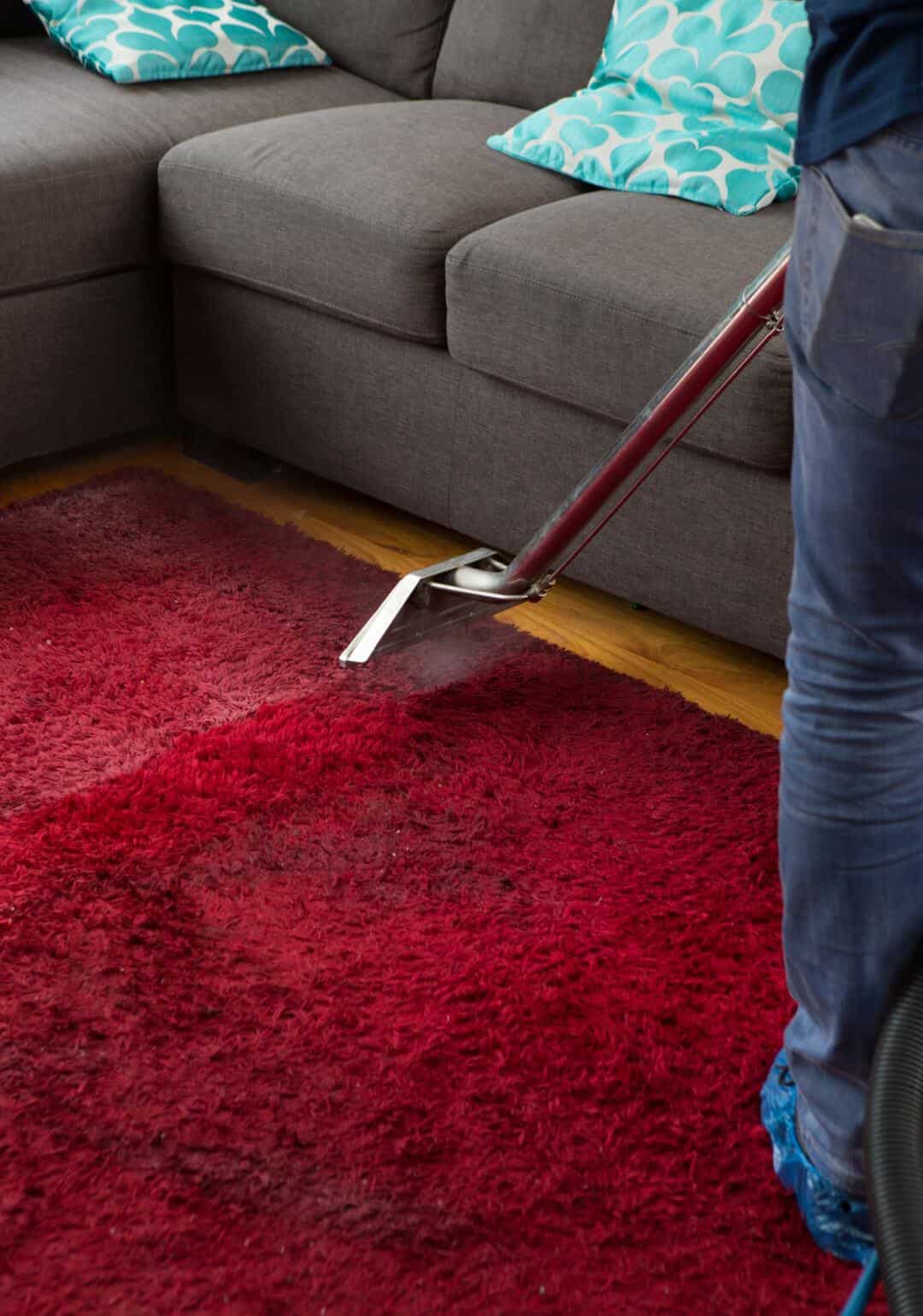 Carpet steam cleaning Carpet steam cleaning