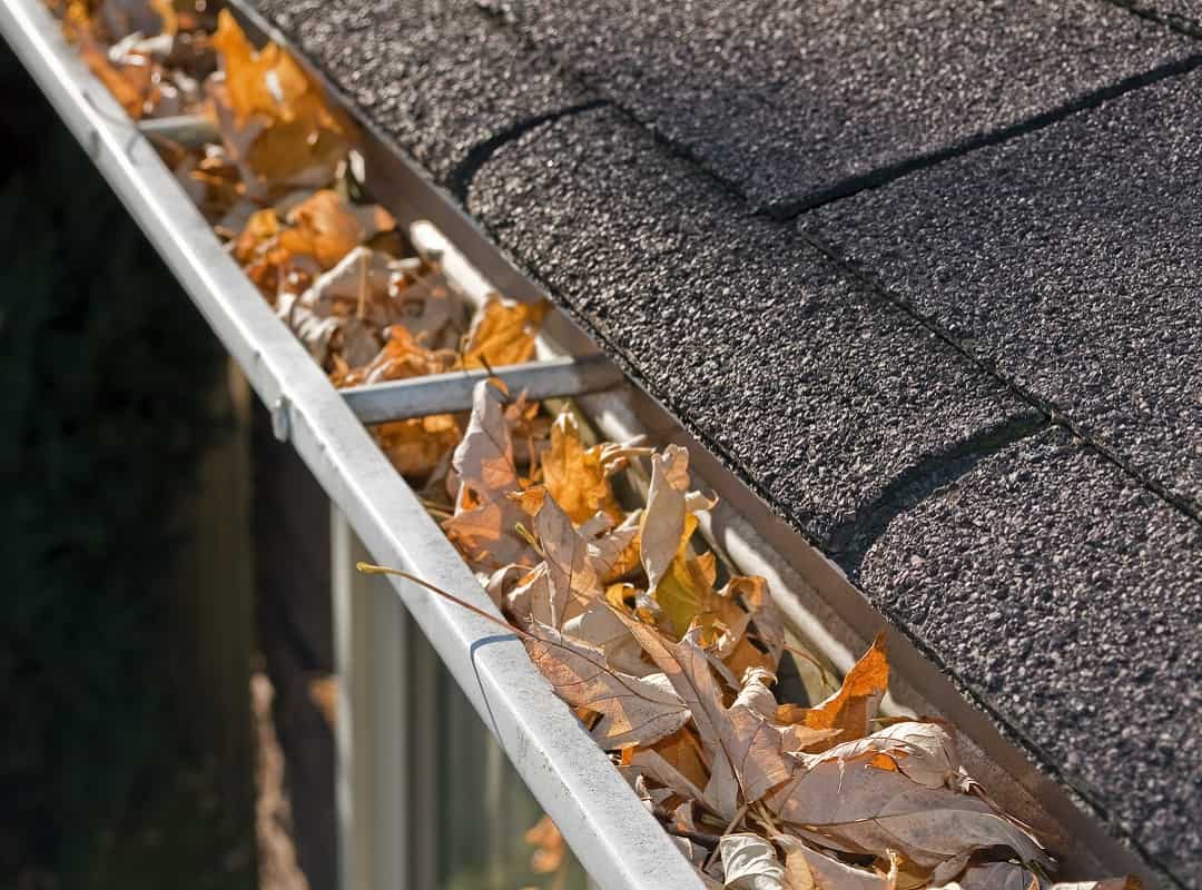 Gutter Cleaning Sessions In Melbourne | Fantastic Cleaners