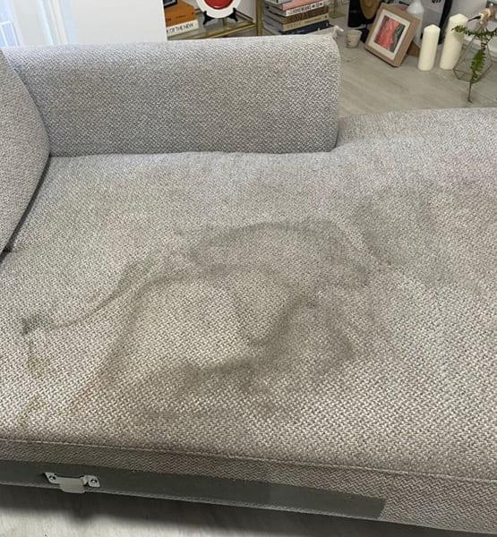 Upholstery cleaning in Perth - before