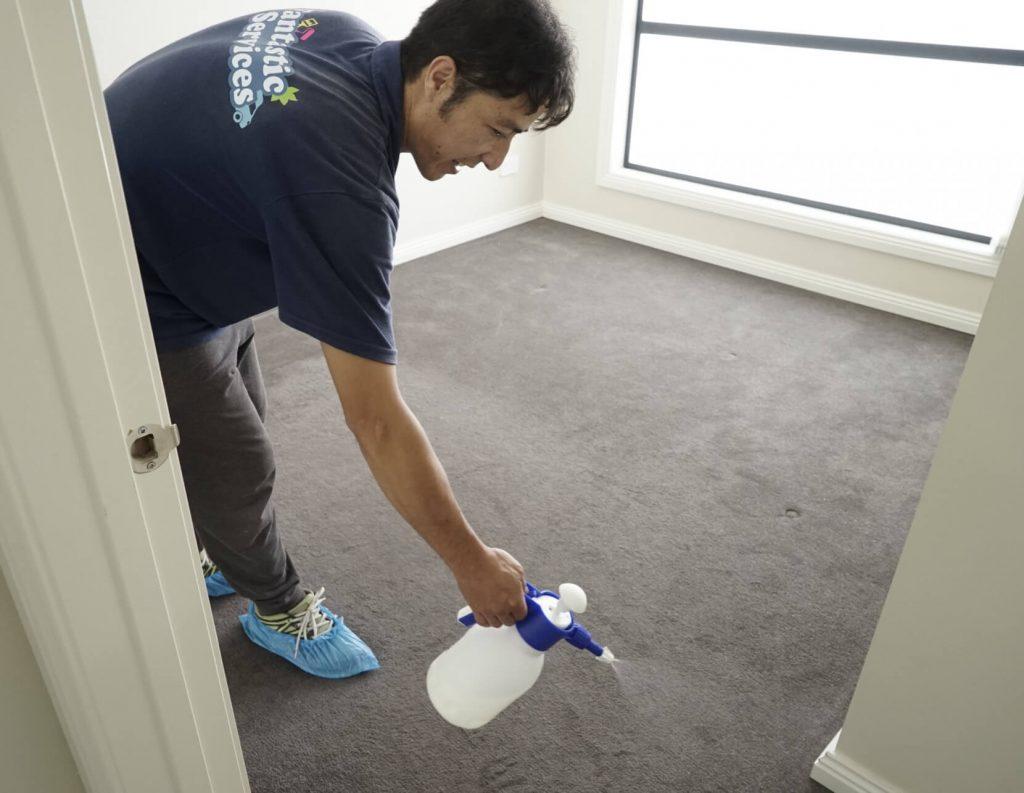 Flea Treatment Carpet Cleaning in Melbourne Fantastic Cleaners