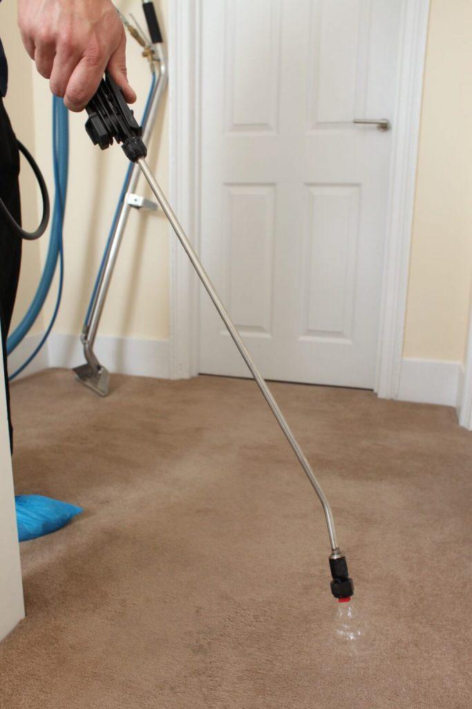 Flea Treatment Carpet Cleaning in Melbourne Fantastic Cleaners