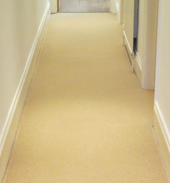 Carpet dry cleaning after