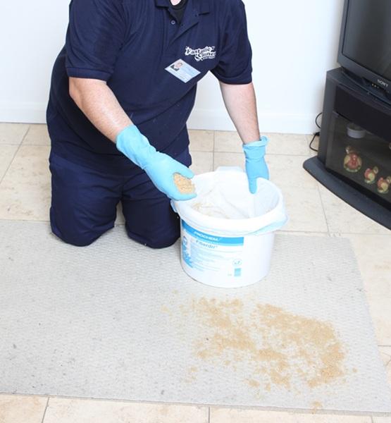 Carpet dry cleaning process step 1