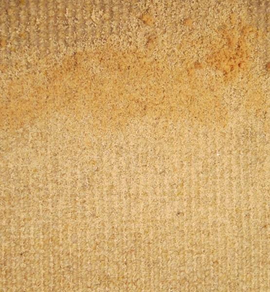 Carpet dry cleaning process step 2