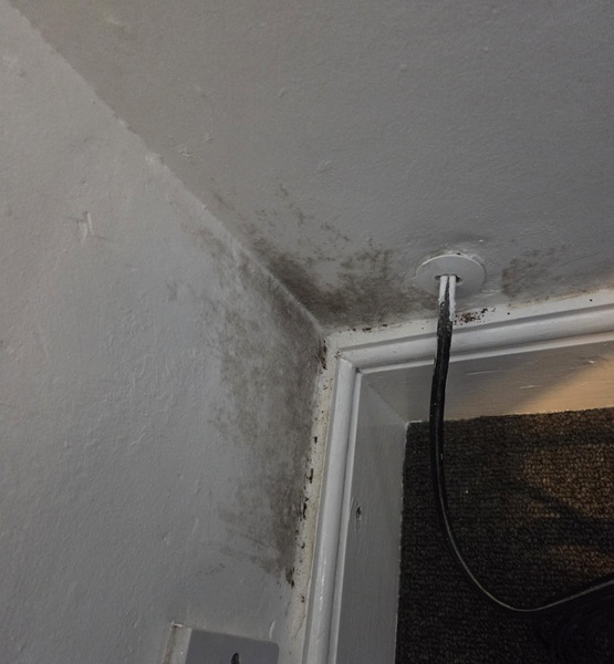 Black mould speckled across a ceiling corner above a door frame, before professional mould removal