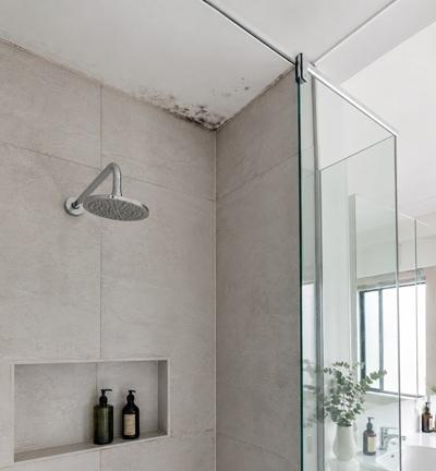Mould on the ceiling corner above a tiled shower - bathroom mould removal