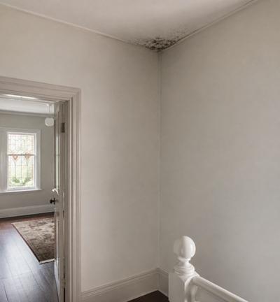 Black mould in the ceiling corner of a hallway landing at the top of the stairs