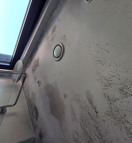 Heavy black mould on a shower ceiling around the exhaust vent, before mould remediation